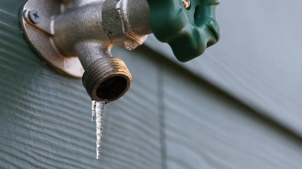 Best Local Plumber Services  in Keeler Farm, NM